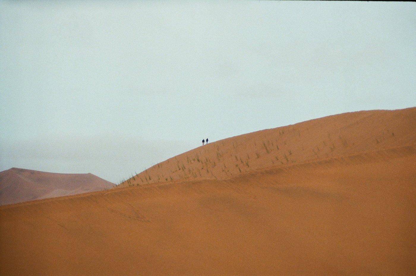 Exposition - A Photo Anthology