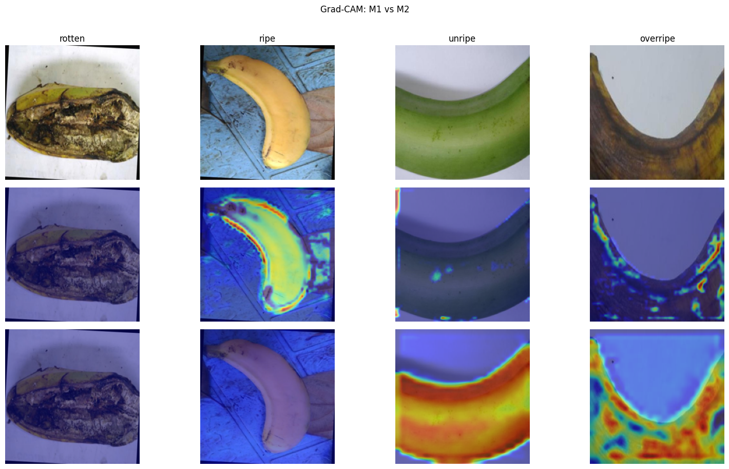 Model complexity comparison — parameters and training time