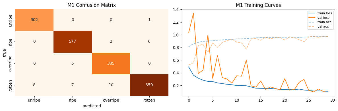 Grad-CAM heatmaps highlighting image regions driving predictions